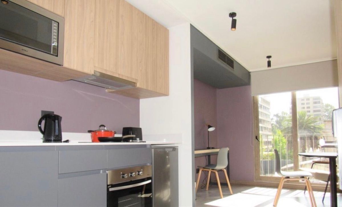 Arriendo de Departamentos amoblados en providencia /pedro de valdivia