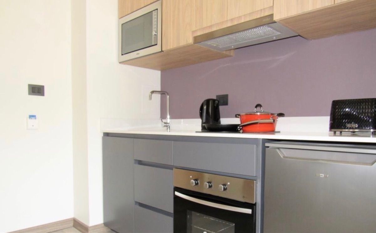 Arriendo de Departamentos amoblados en providencia /pedro de valdivia