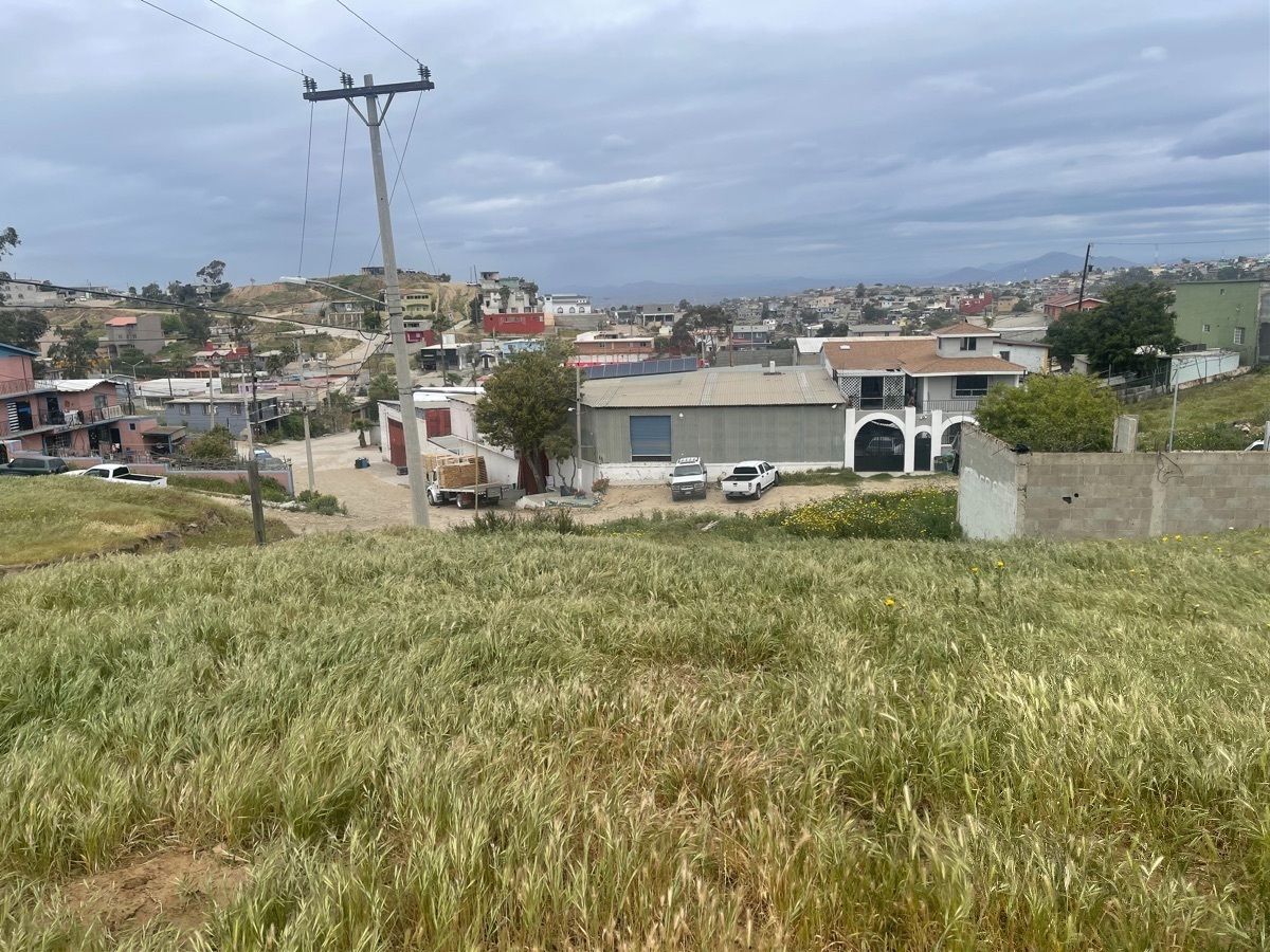 5 de 16