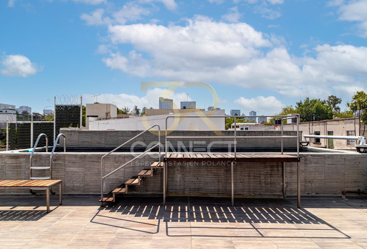 2 de 24: Roof garden del condominio