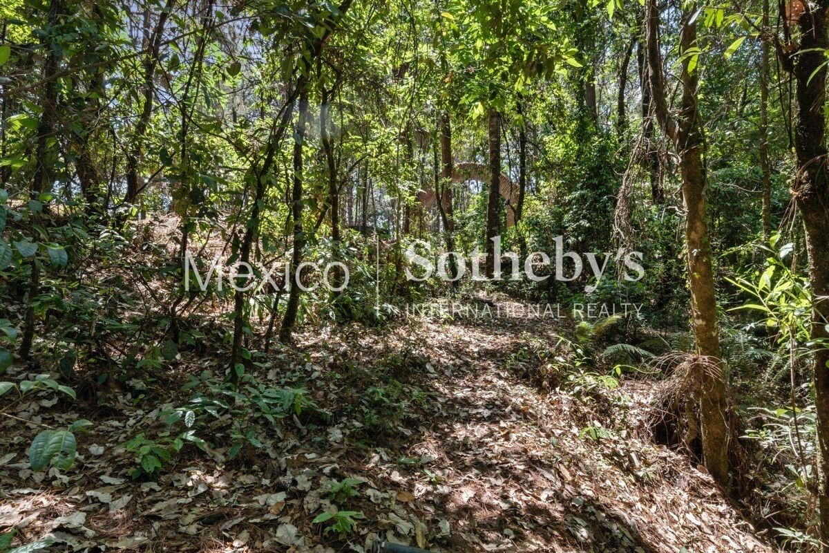 Terreno colindante con Manantial "El Crustel", Acatitlán - foto 3