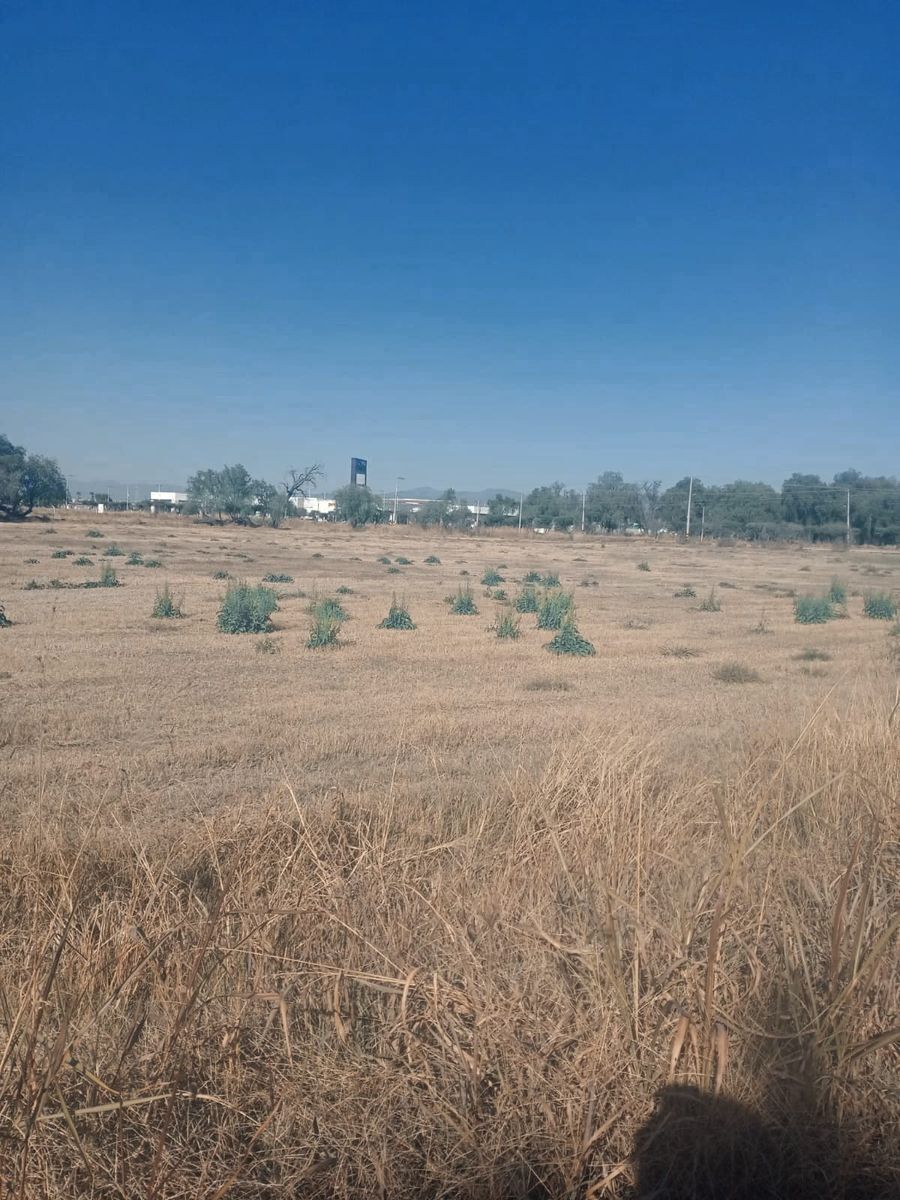 Commercial Lot in Brisas del Carmen, Celaya, photo 6 of 6