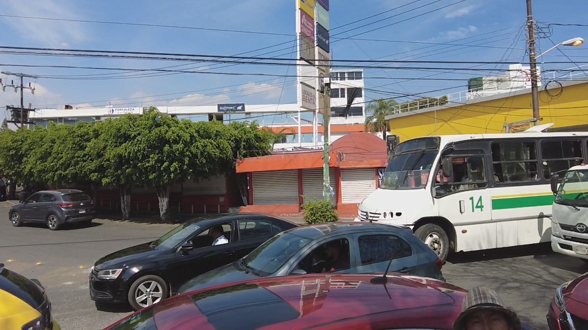 11 de 11