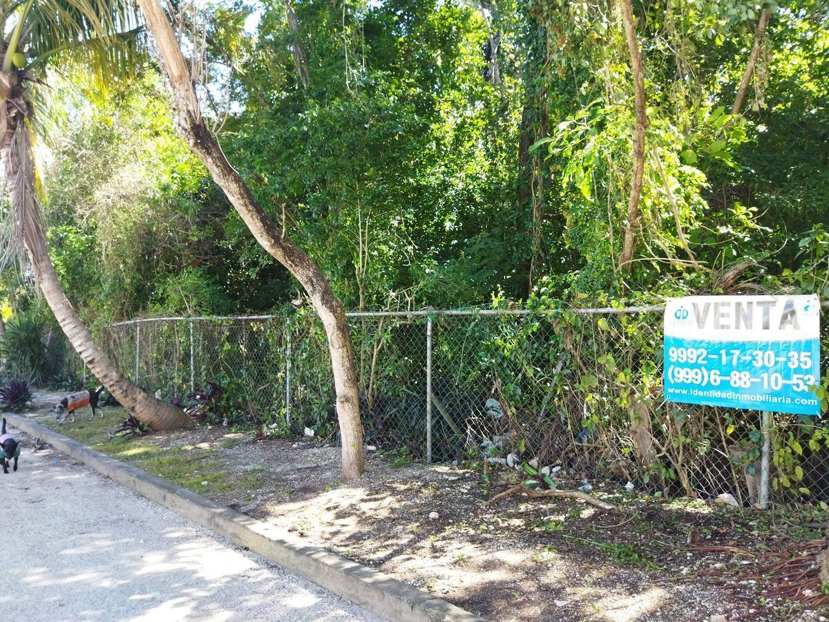 3 de 21: venta de terreno comercial en can cun