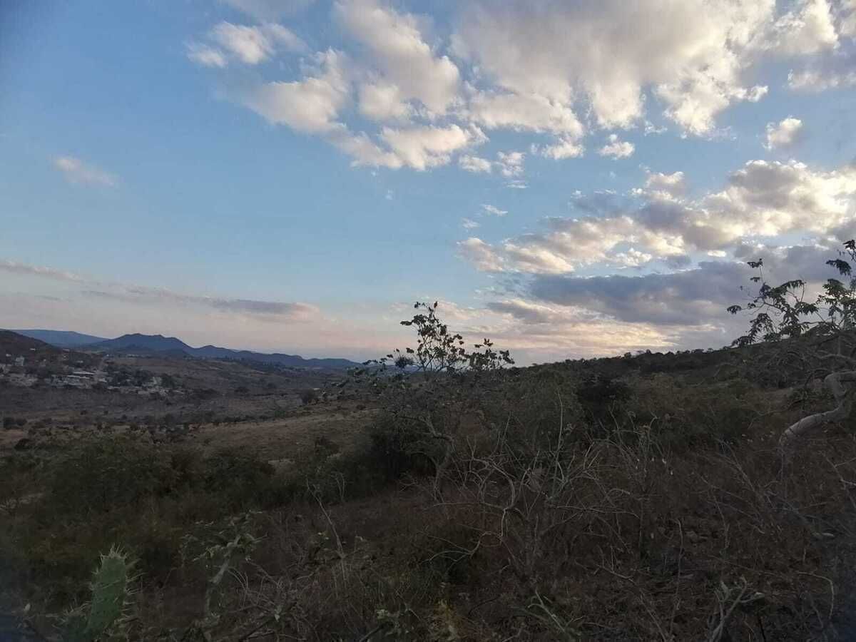 5 de 34
