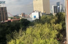 16 de 16