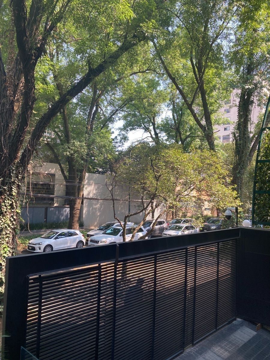6 de 15