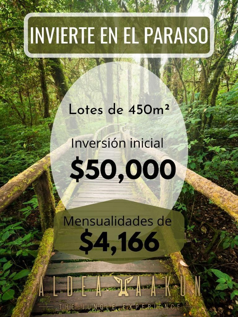 2 de 28