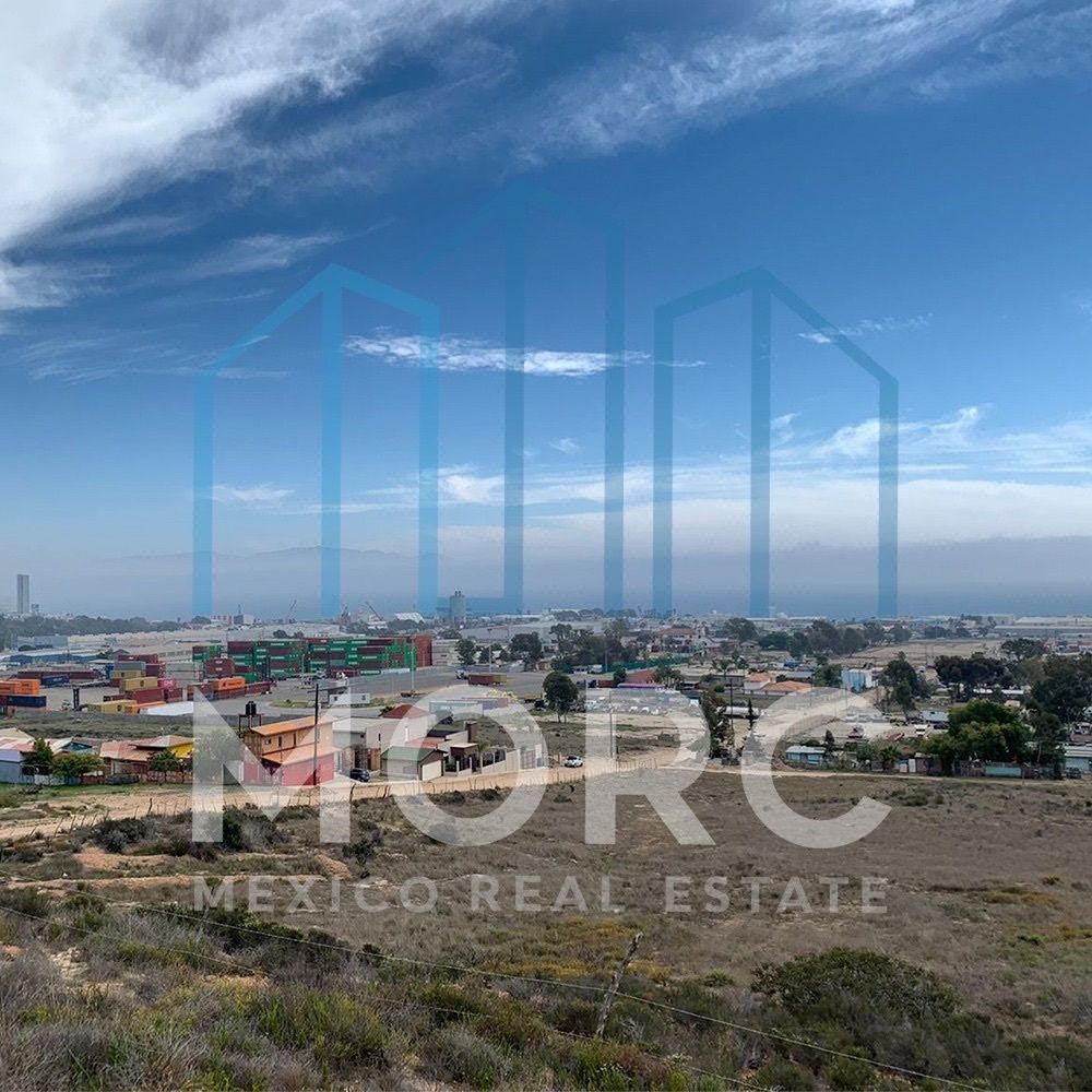 Venta de 5 Hectáreas en el Sauzal