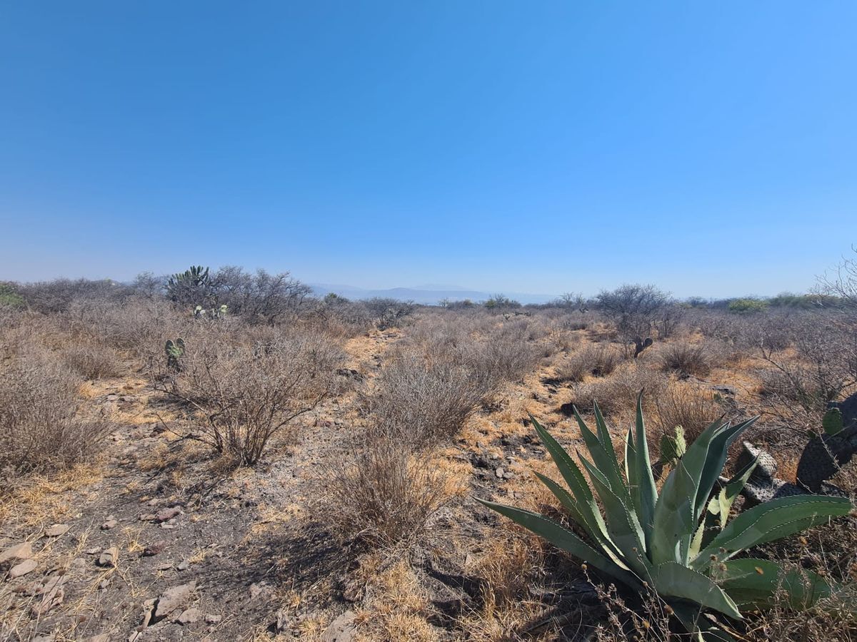 2.56 ha de terreno en Querétaro en San José el Alto