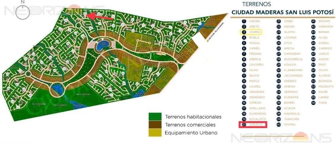 4 de 10: Planos del desarrollo y del terreno en rojo.