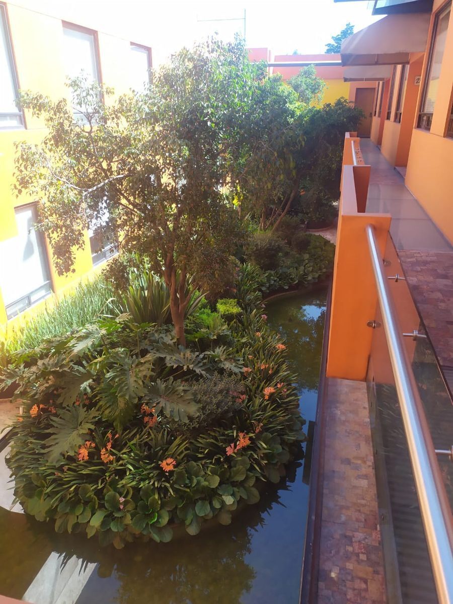 5 de 11