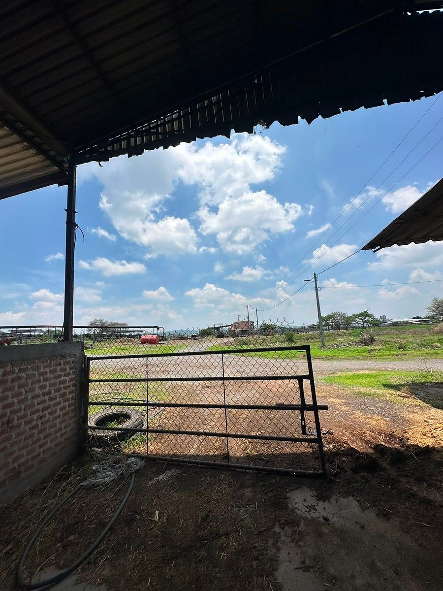 Lote em Tototlan Centro, Tototlán, foto 12 de 24
