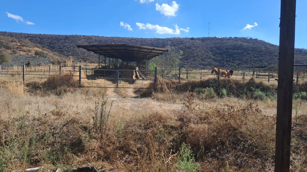 Lote em Tototlan Centro, Tototlán, foto 16 de 24