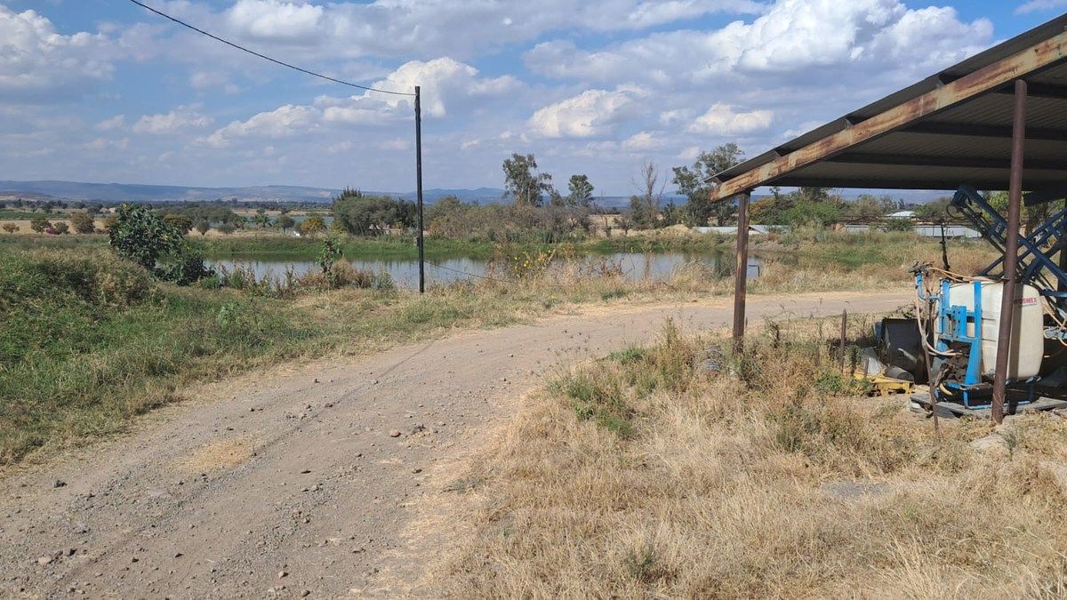 Lote em Tototlan Centro, Tototlán, foto 17 de 24