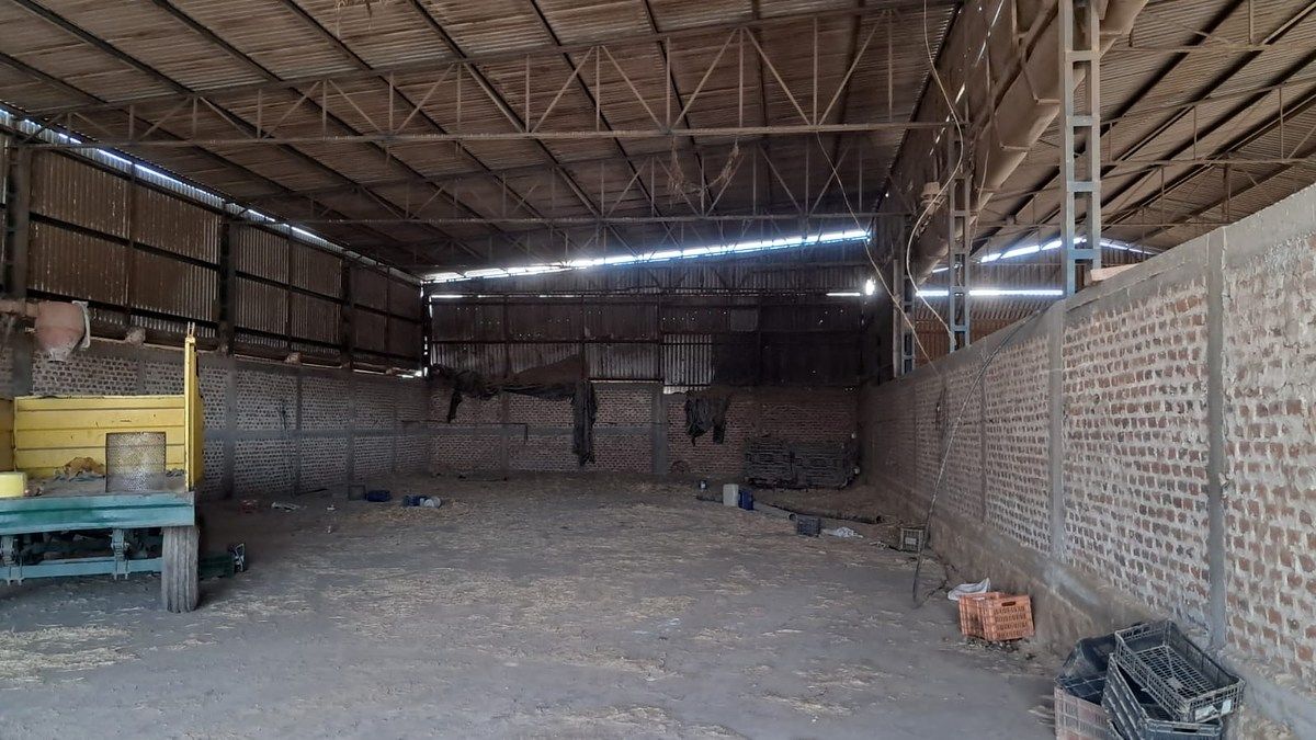 Lote em Tototlan Centro, Tototlán, foto 18 de 24