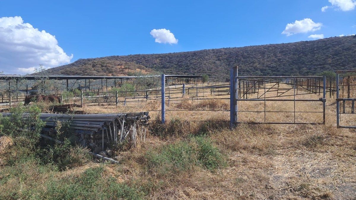 Lote em Tototlan Centro, Tototlán, foto 21 de 24