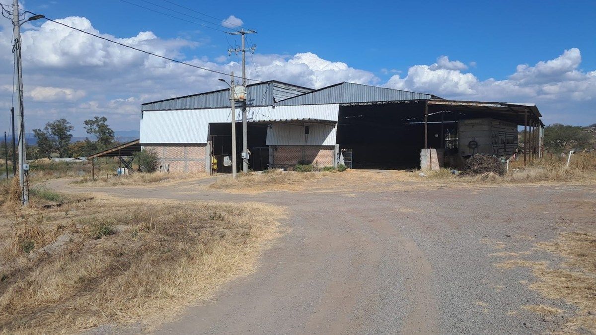 Lote em Tototlan Centro, Tototlán, foto 20 de 24