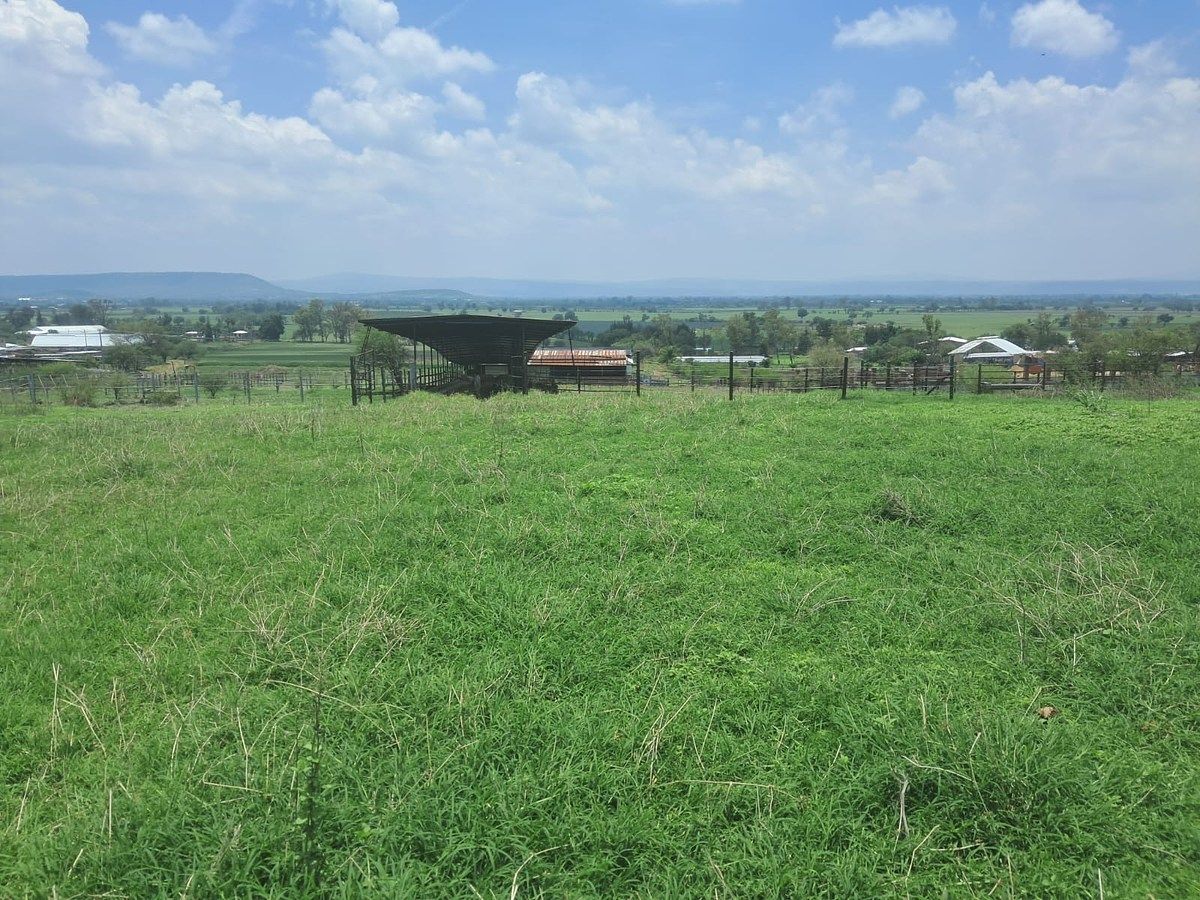Lote em Tototlan Centro, Tototlán, foto 2 de 24