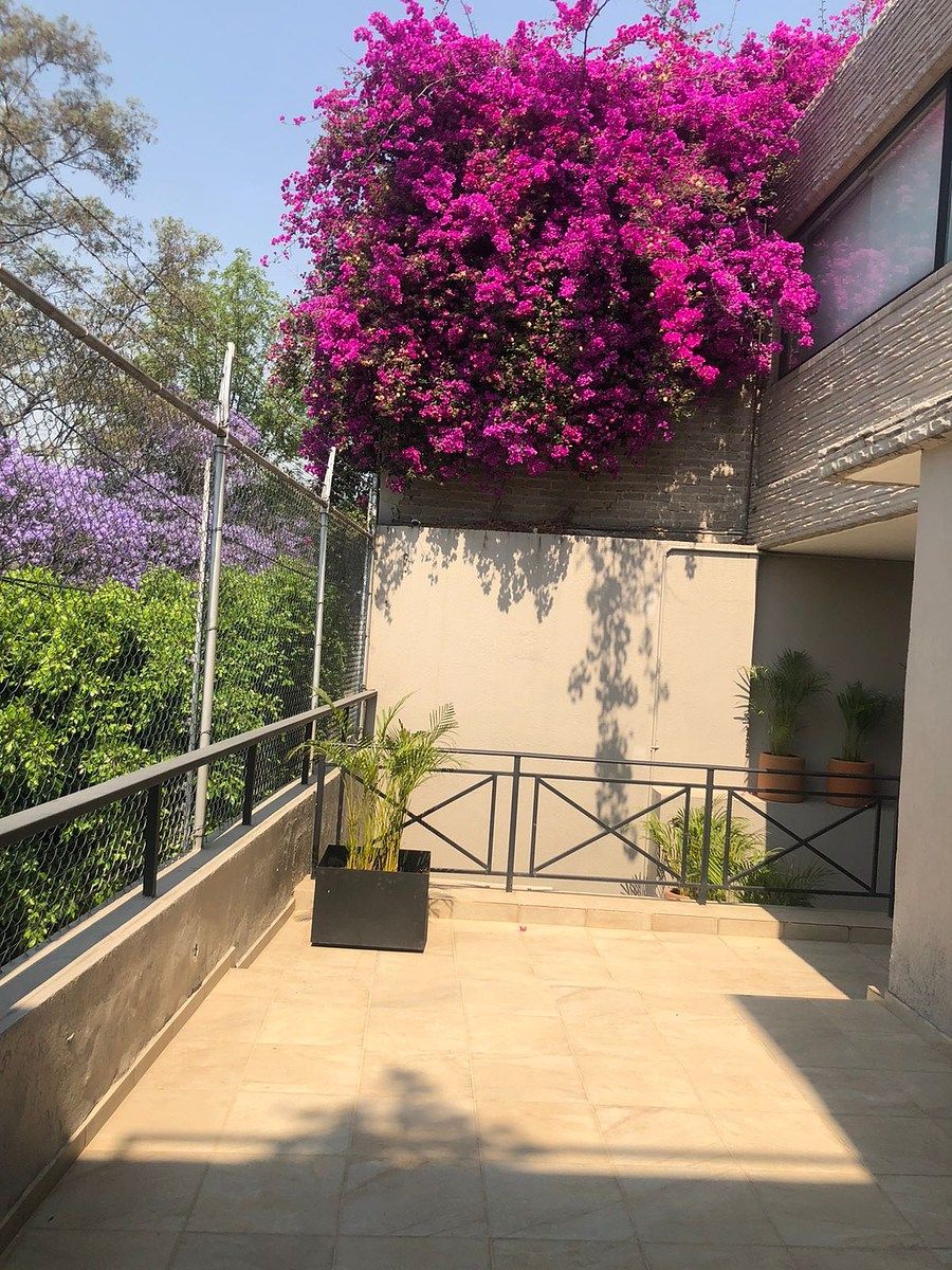 Casa em Lomas de Chapultepec I Sección, Miguel Hidalgo, foto 15 de 21