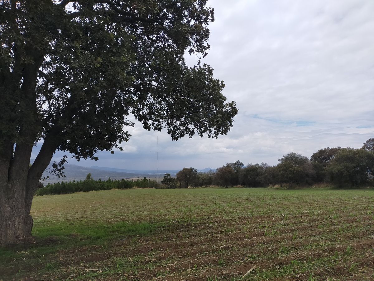 TENANGO DEL AIRE, TERRENO IDEAL PARA INVERSION AGRICOLA Y GANADERA - foto 4