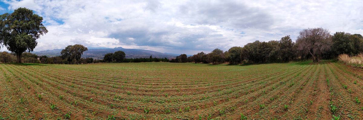 TENANGO DEL AIRE, TERRENO IDEAL PARA INVERSION AGRICOLA Y GANADERA - foto 5