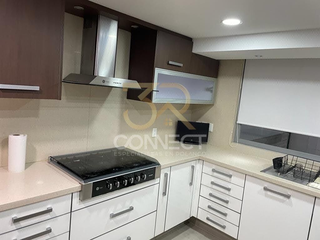 Departamento en Polanco V Sección, Miguel Hidalgo, foto 22 de 47