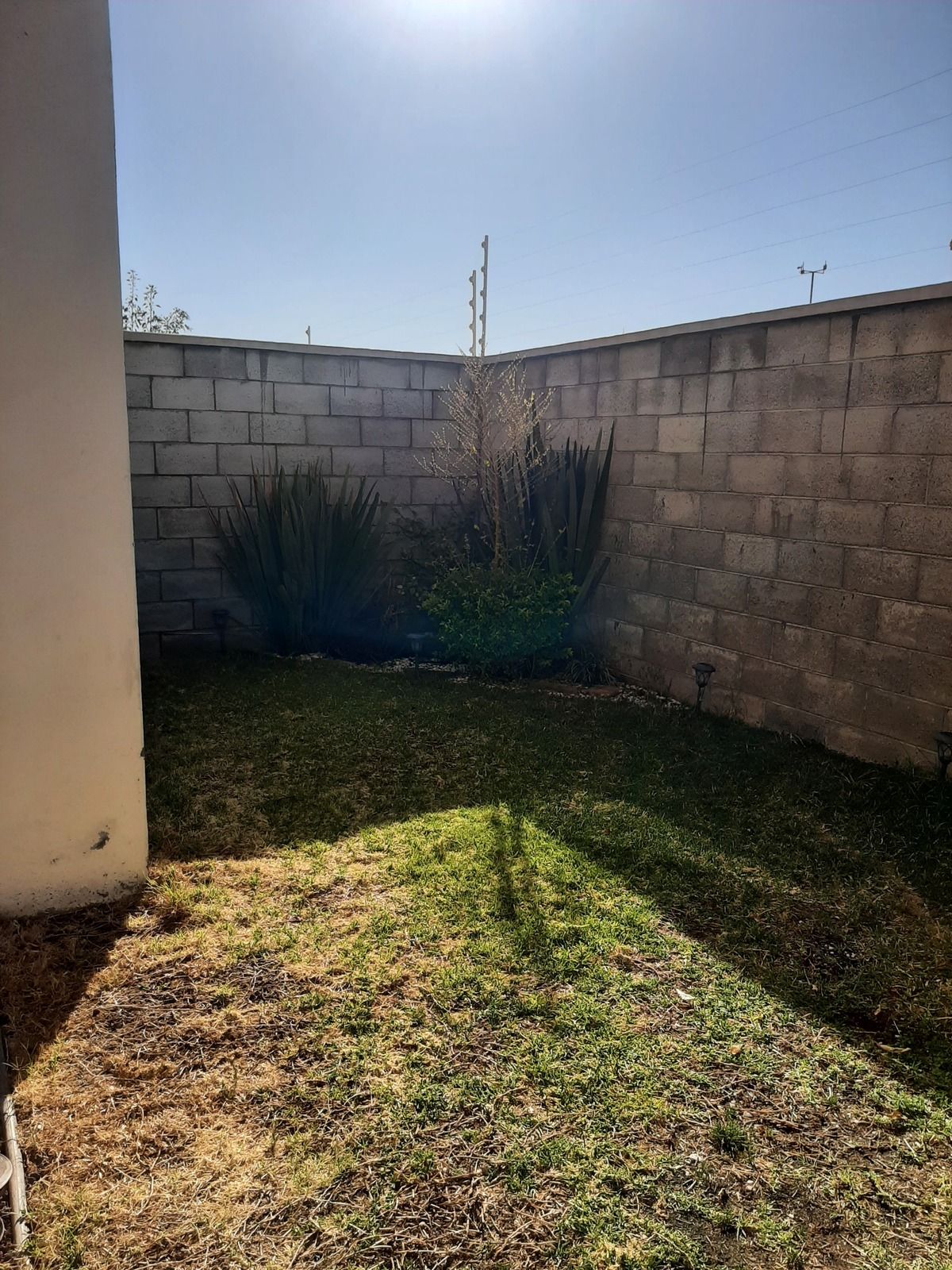 7 de 12