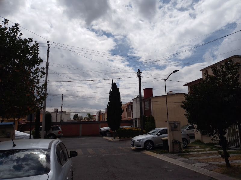 Imagen 9 de 10
