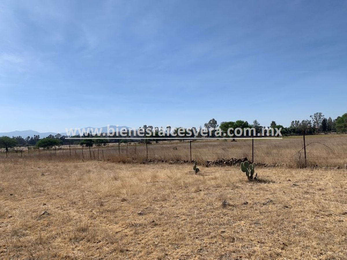 Terreno en Venta en Tequisquiapan Kiko en Santillan