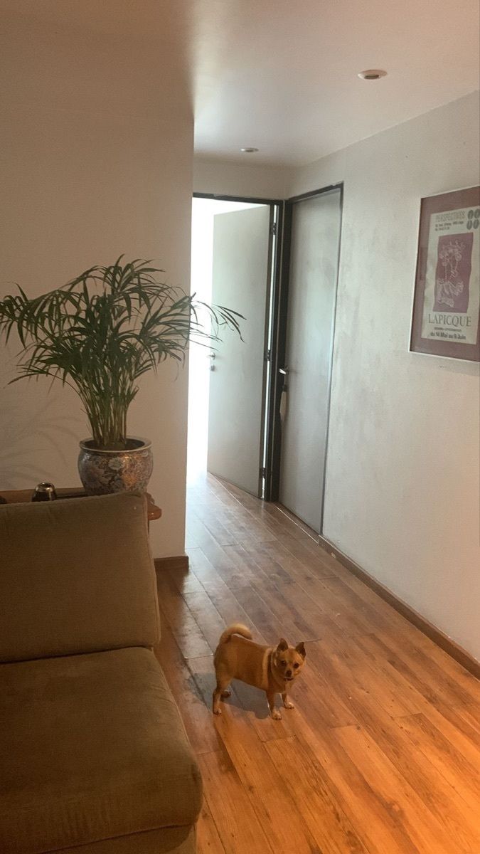 Apartamento em Lomas de Chapultepec I Sección, Miguel Hidalgo, foto 11 de 50
