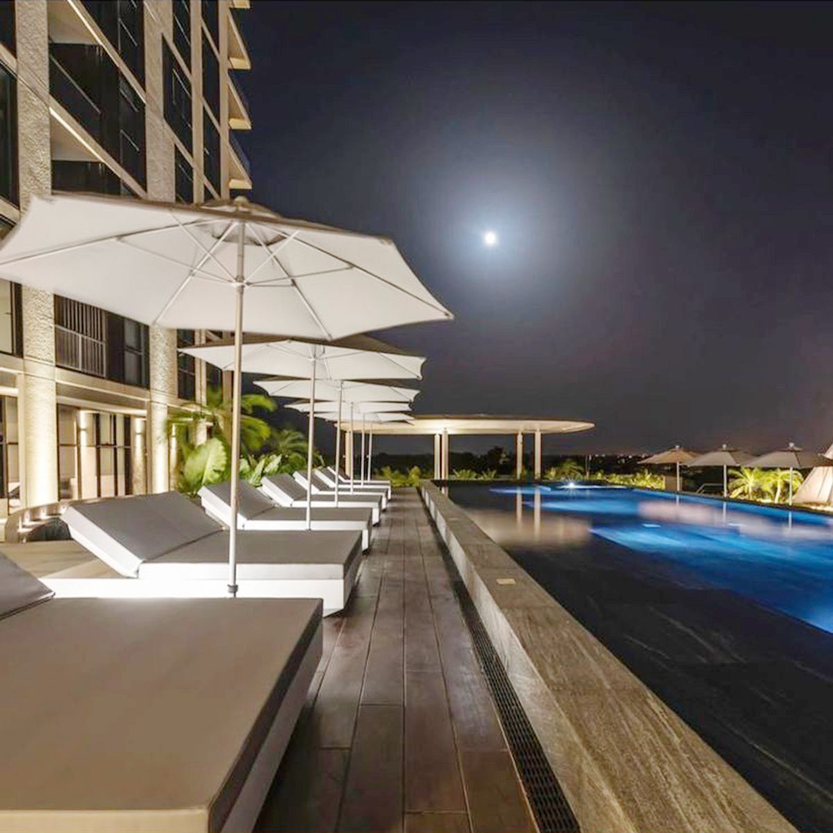 23 of 34: Asoleadores y alberca