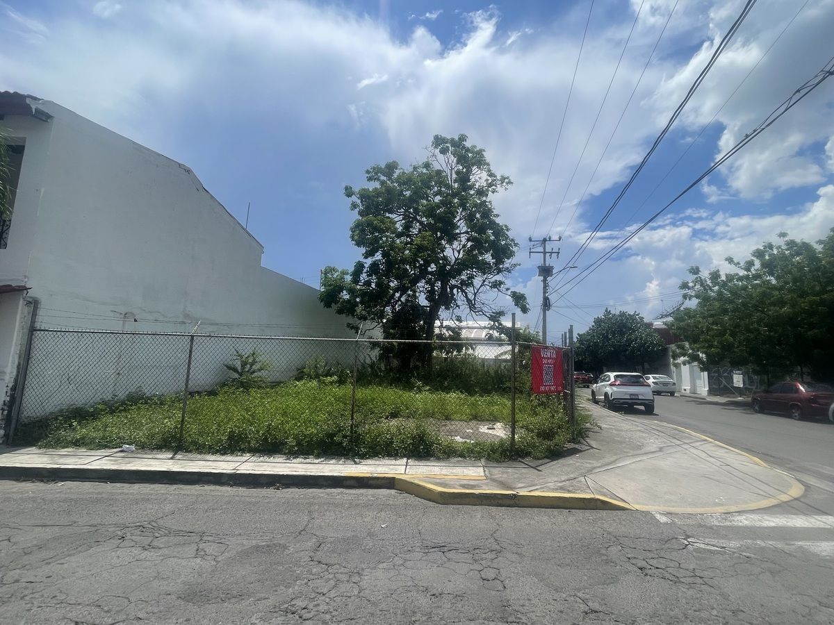 5 de 11