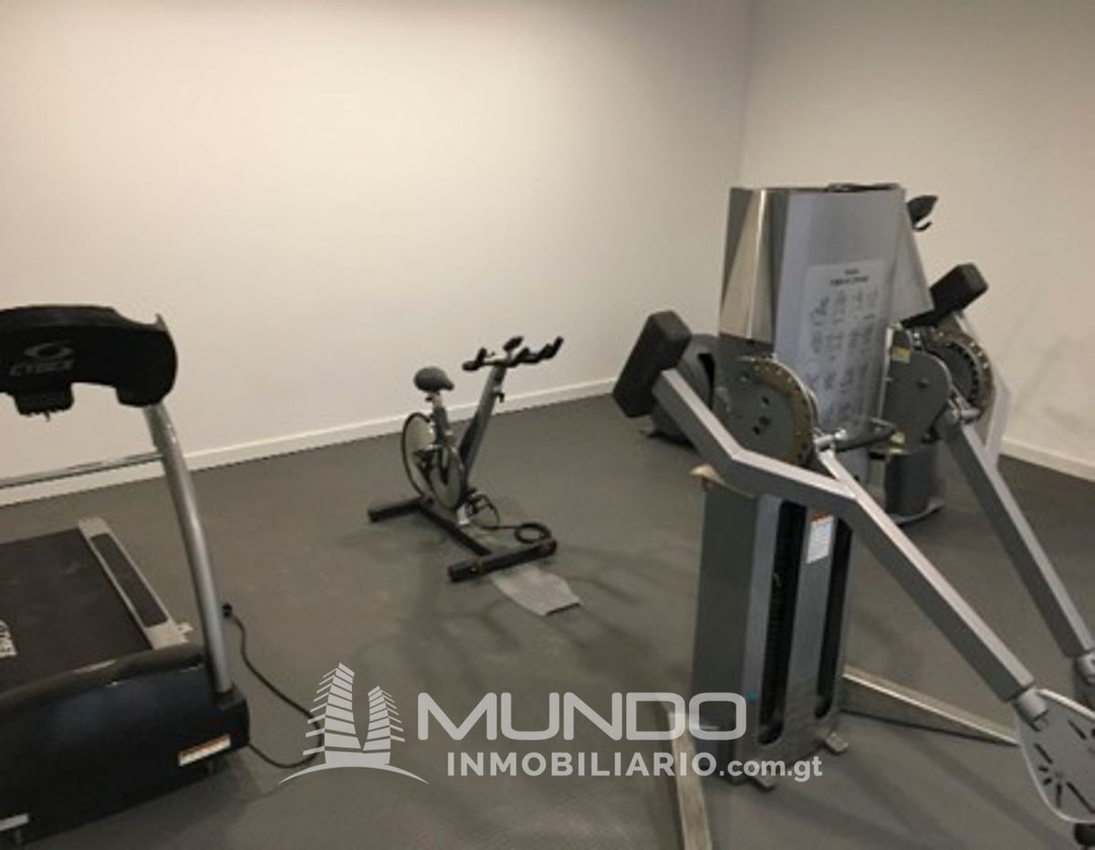 8 de 12: Gimnasio