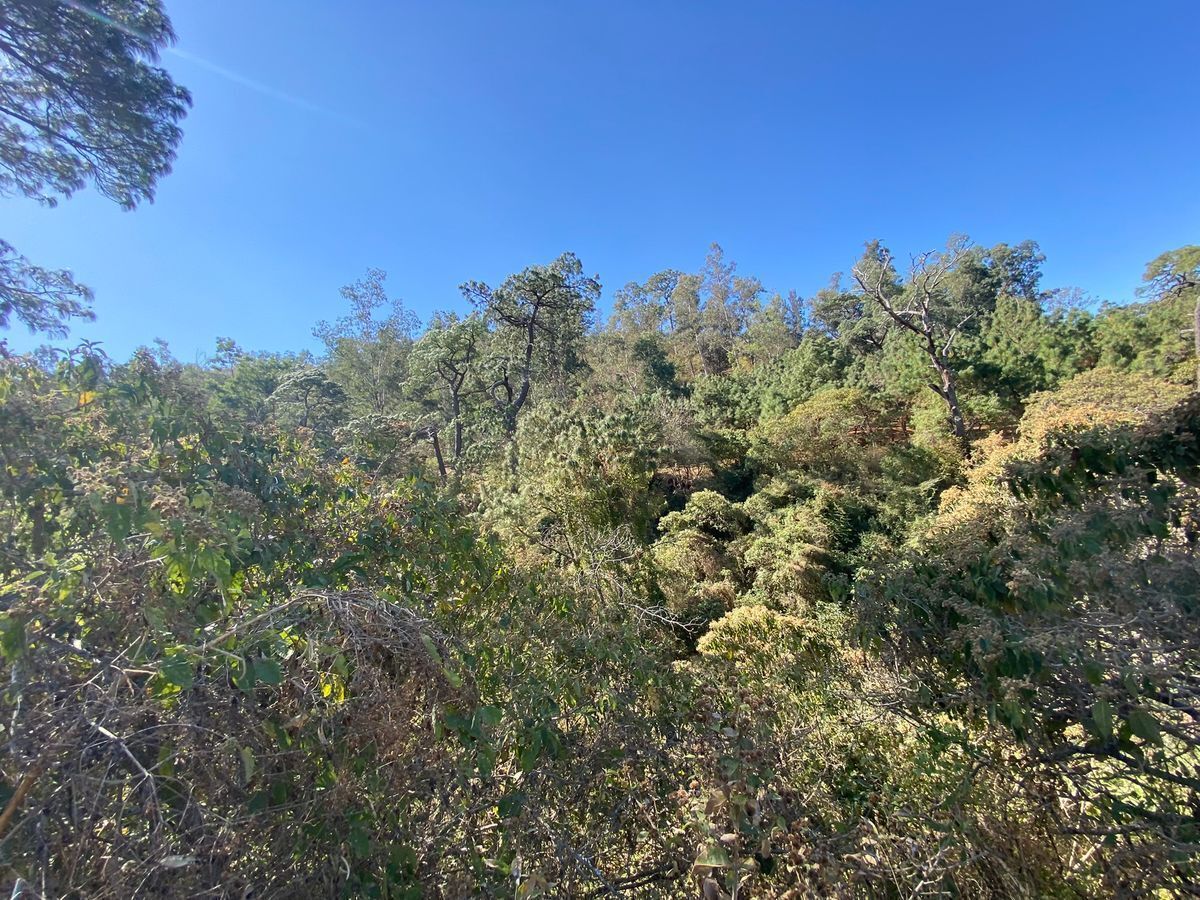 8 of 15: Colindancia con parque ecológico