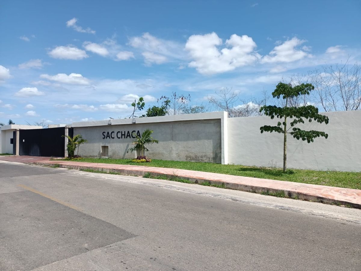 6 de 14