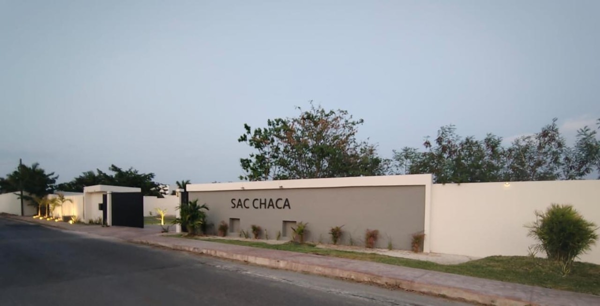 3 de 14