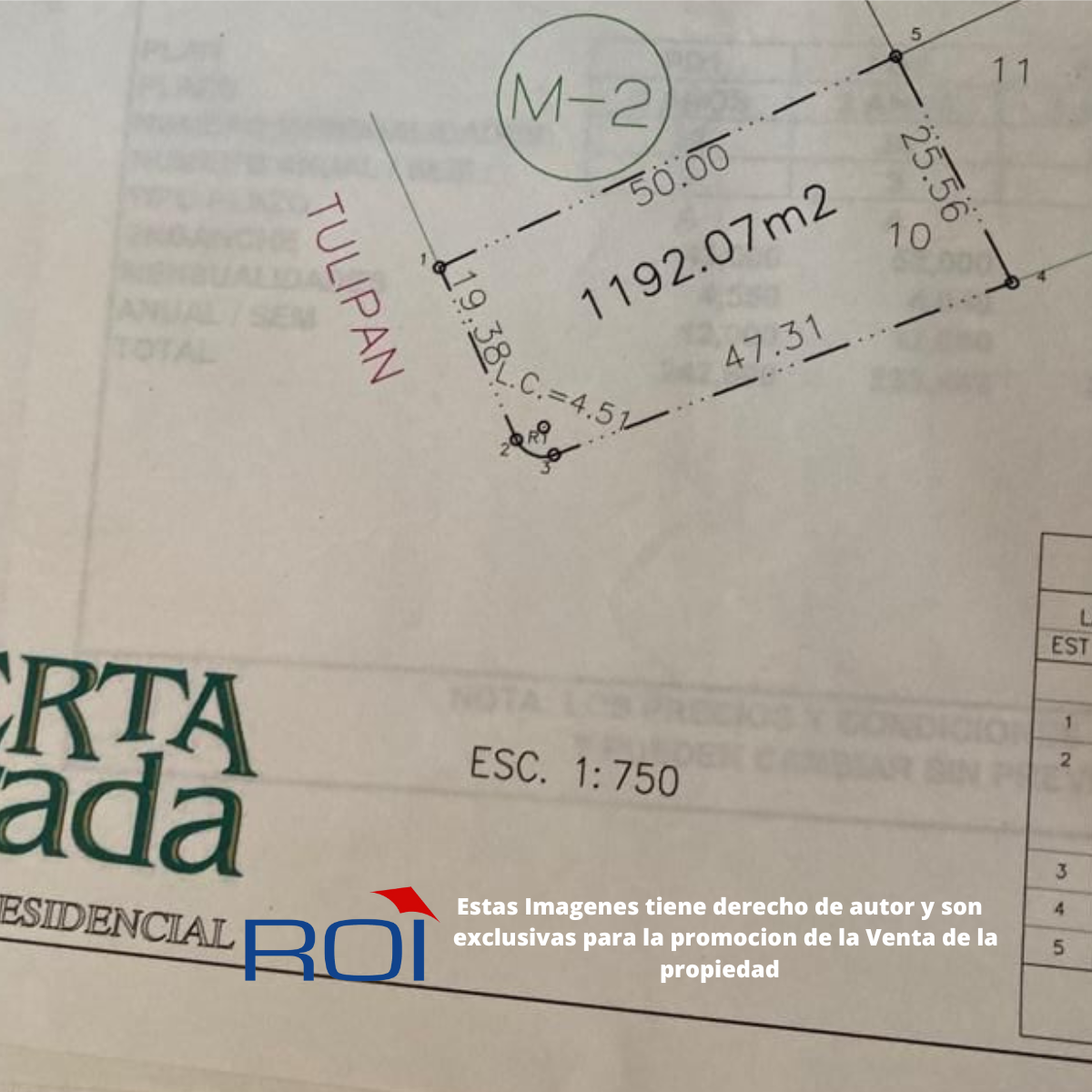 1 de 4