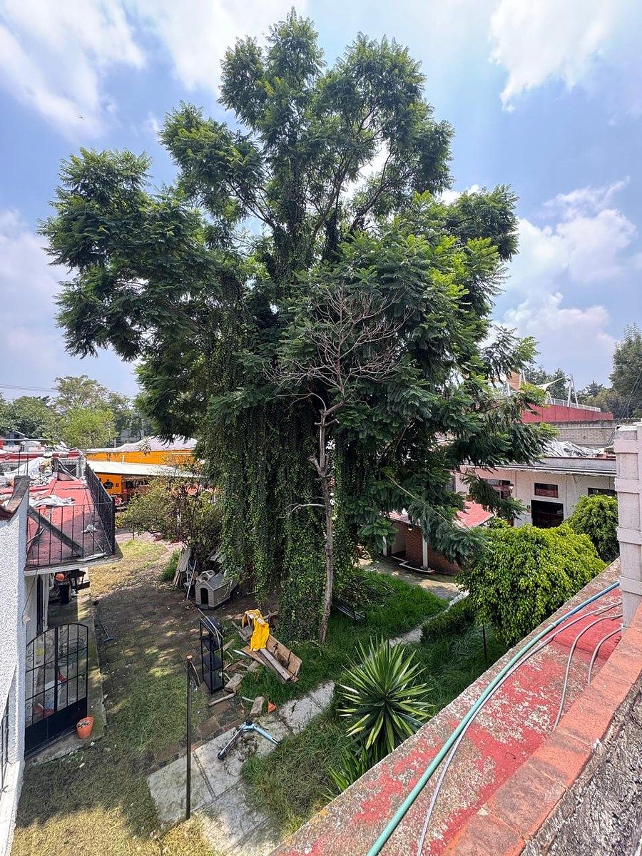 Lote em Tlalpan Centro, Tlalpan, foto 25 de 46