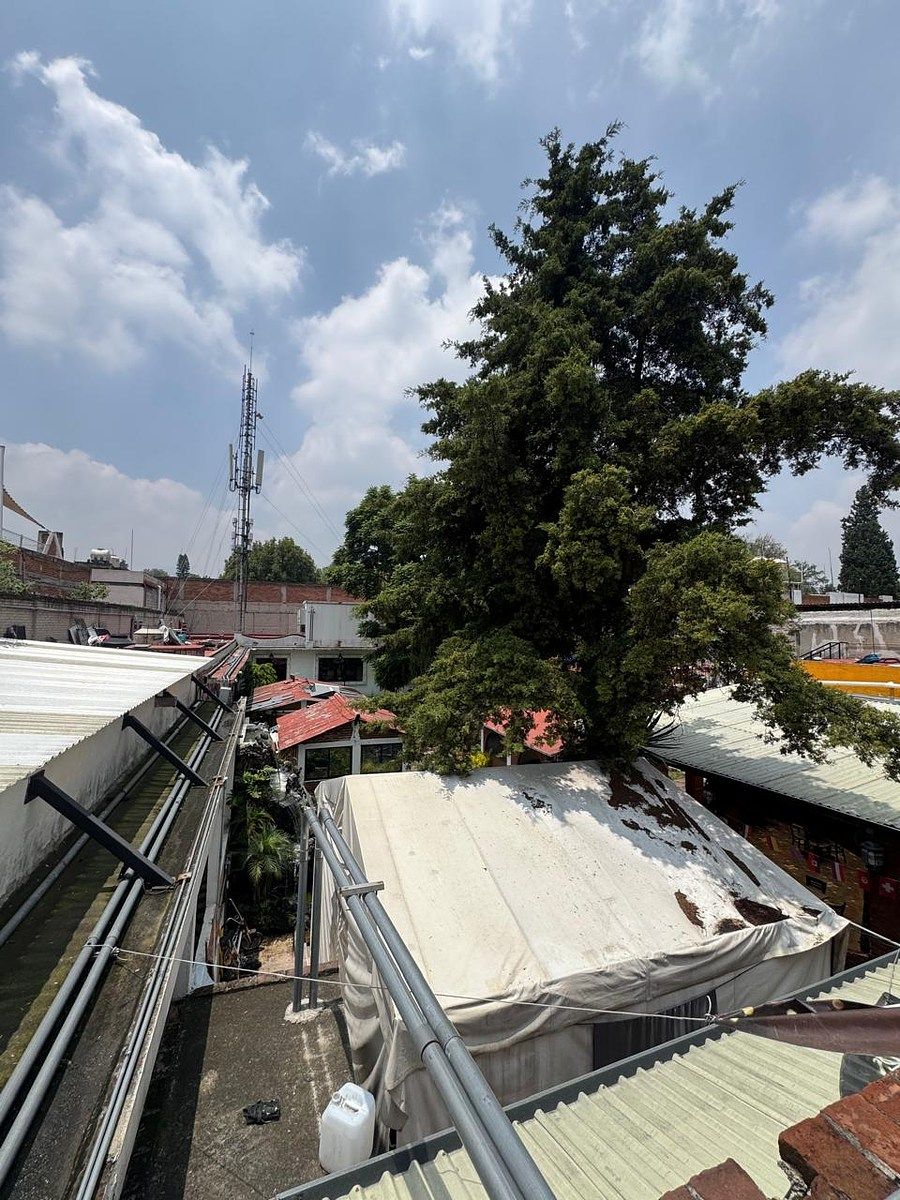 Lote em Tlalpan Centro, Tlalpan, foto 30 de 46