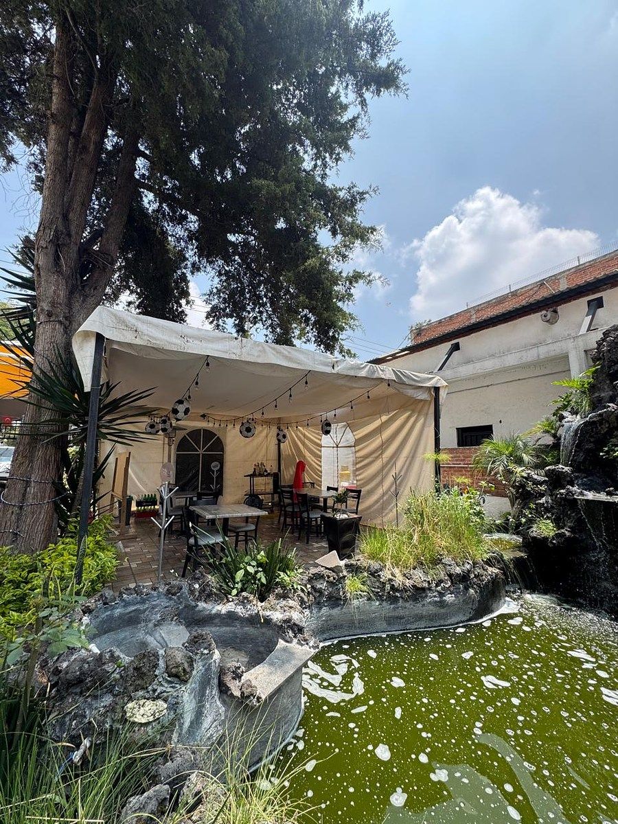 Lote em Tlalpan Centro, Tlalpan, foto 33 de 46