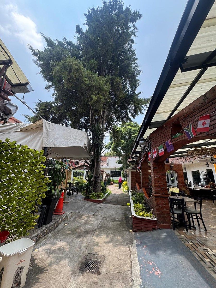 Lote em Tlalpan Centro, Tlalpan, foto 38 de 46