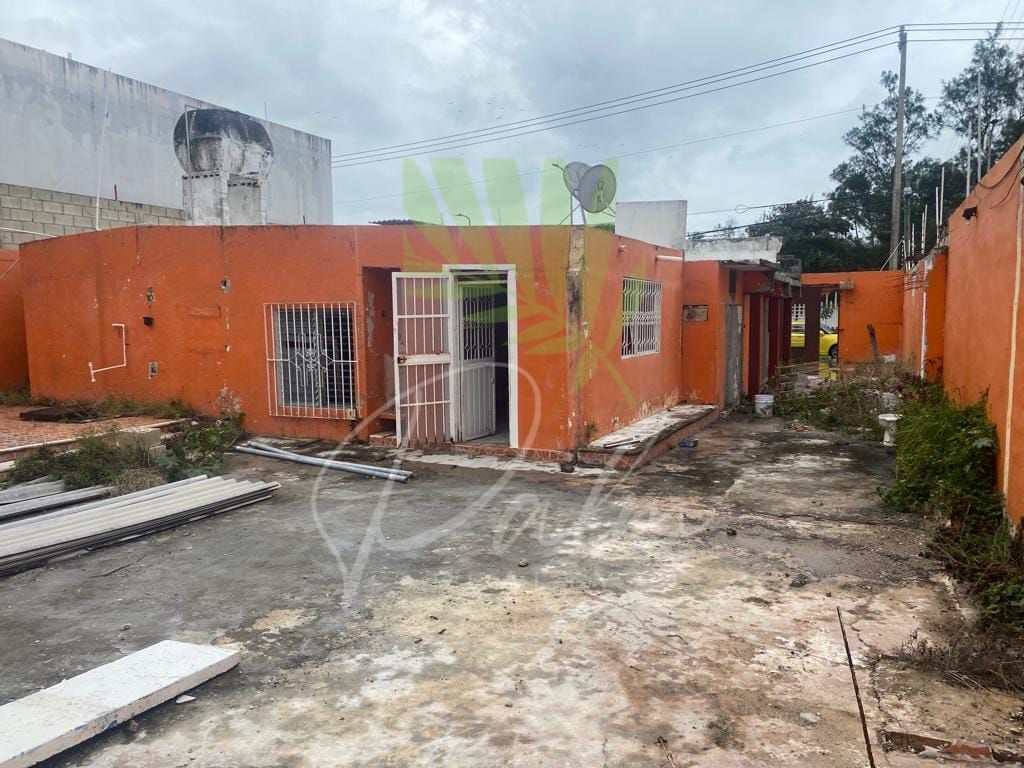 2 de 6
