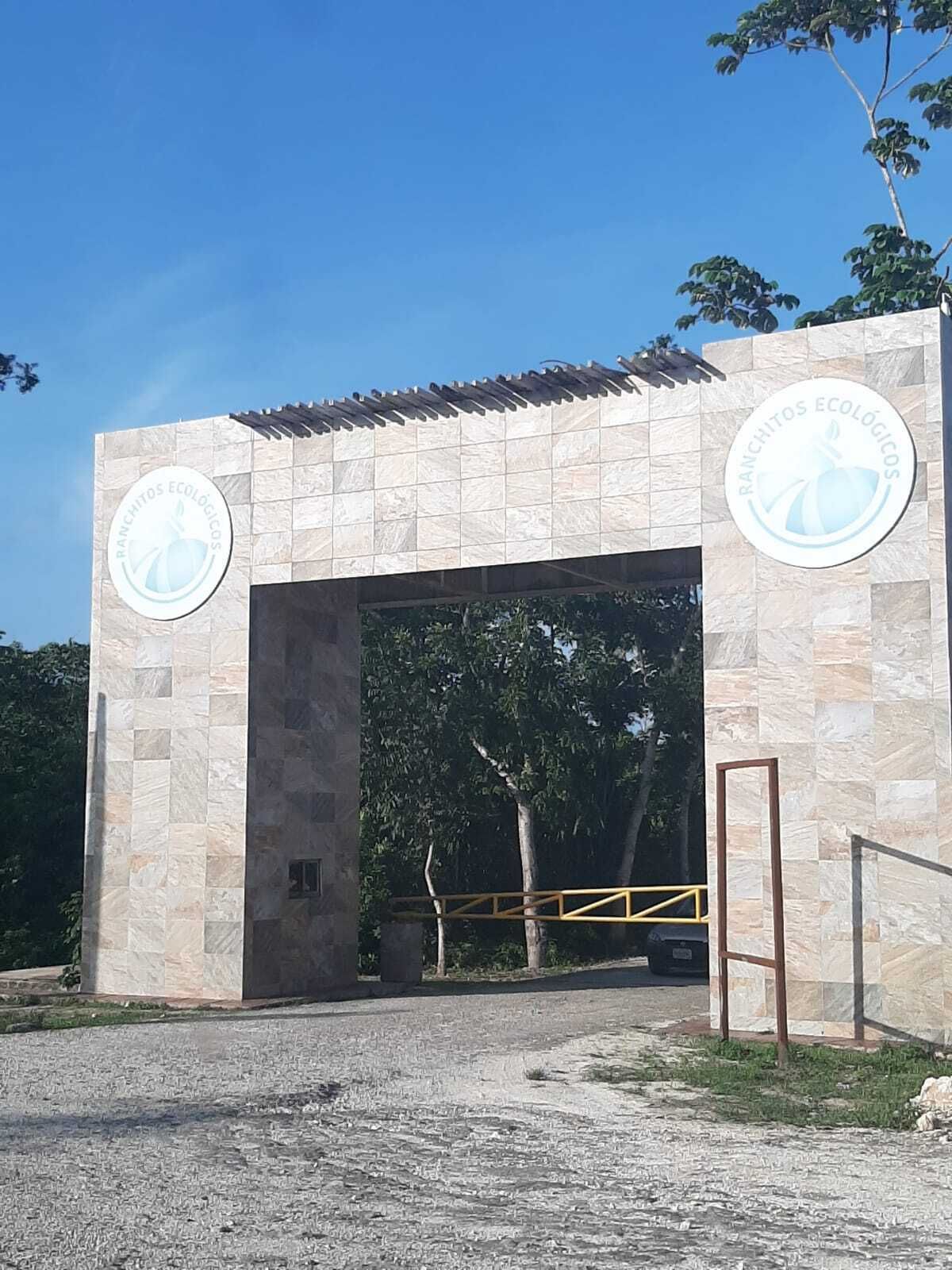 4 de 10