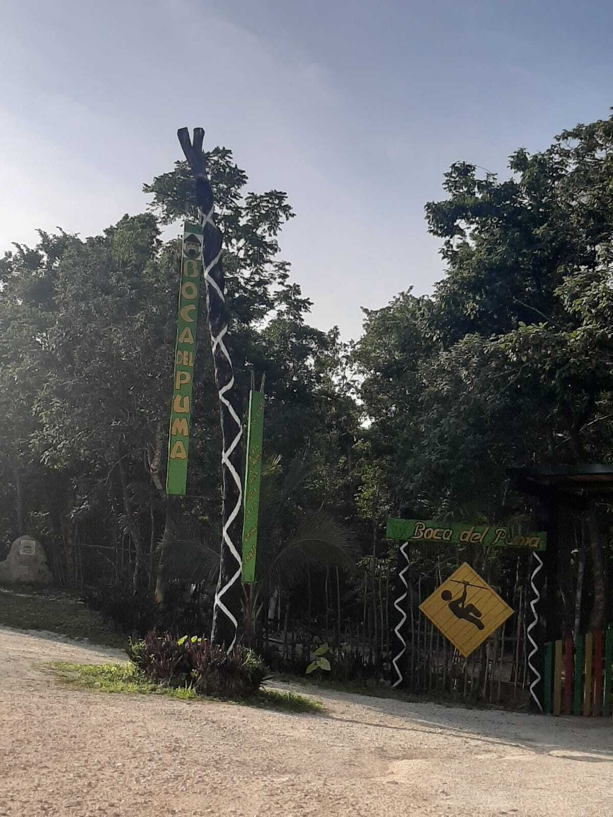 5 de 10