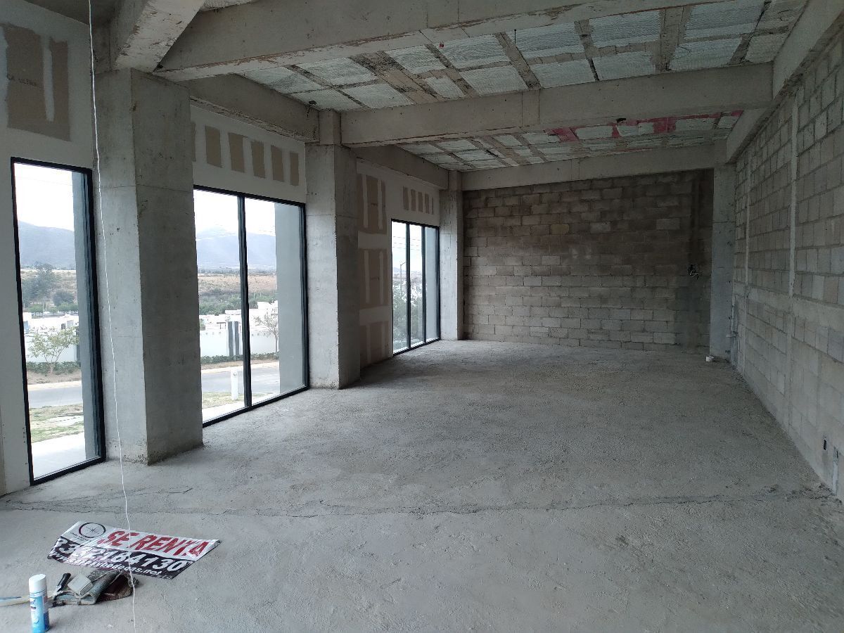 3 of 7: local amplio