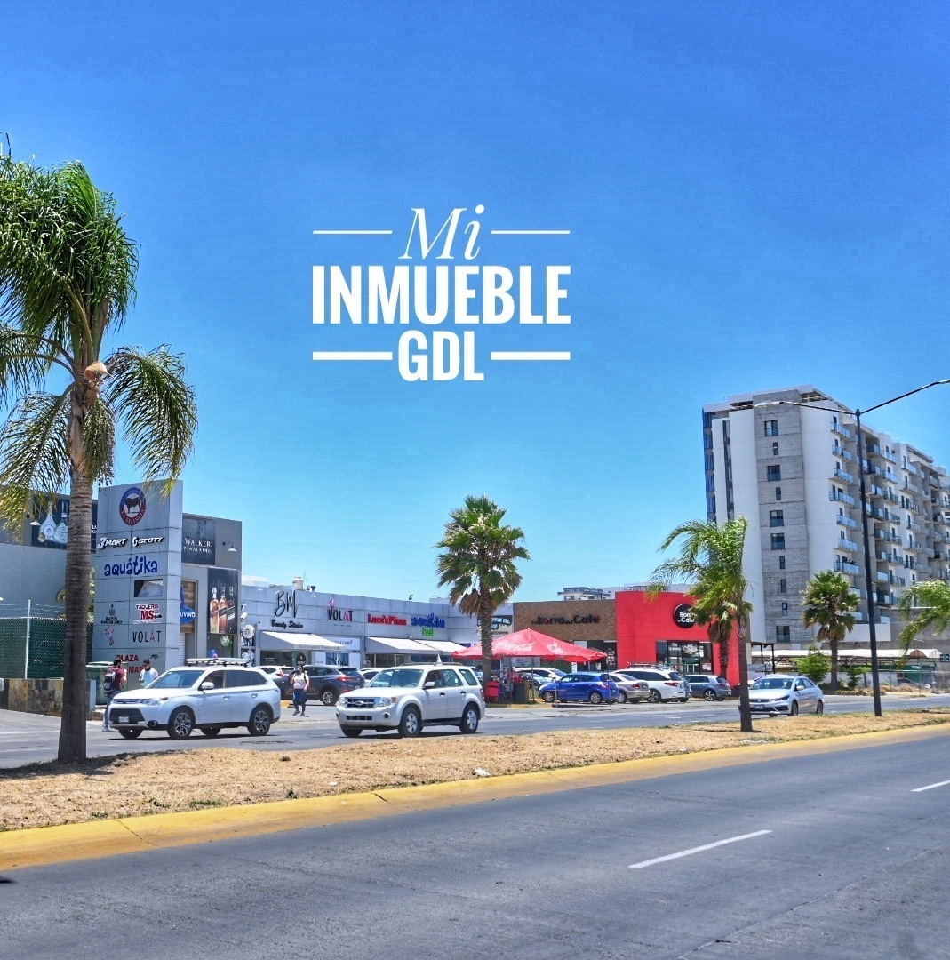 2 de 11