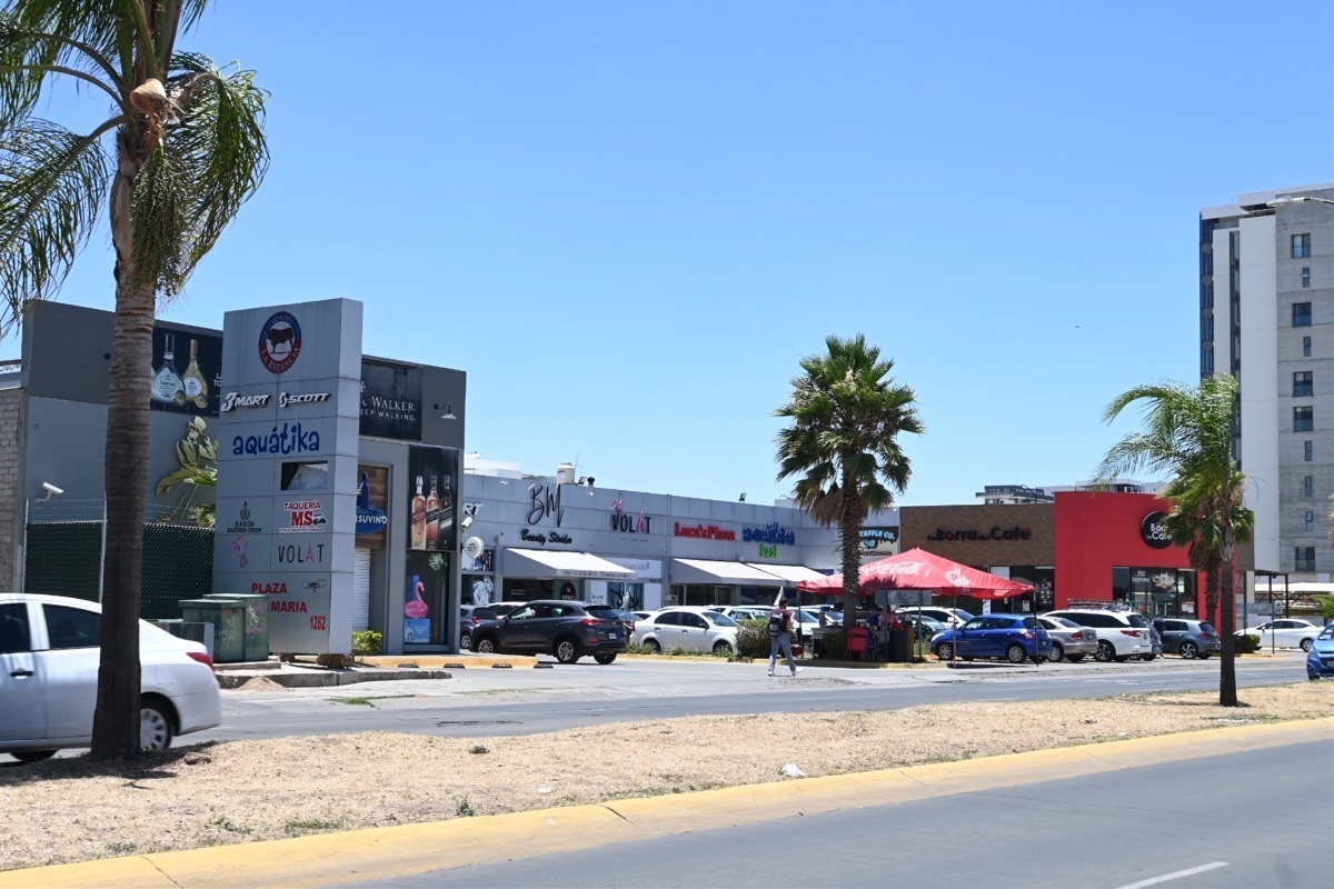 4 de 11