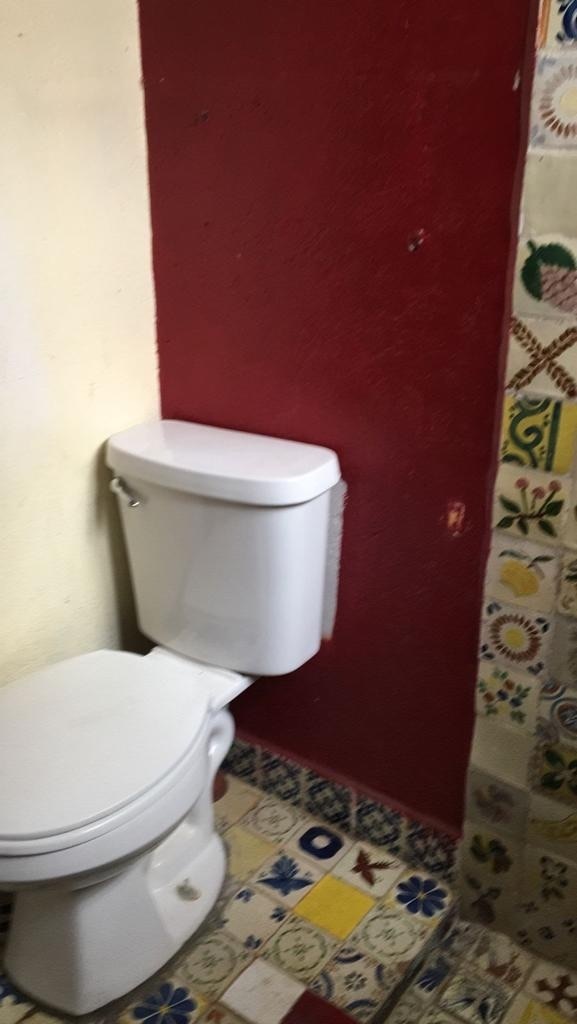 15 de 19