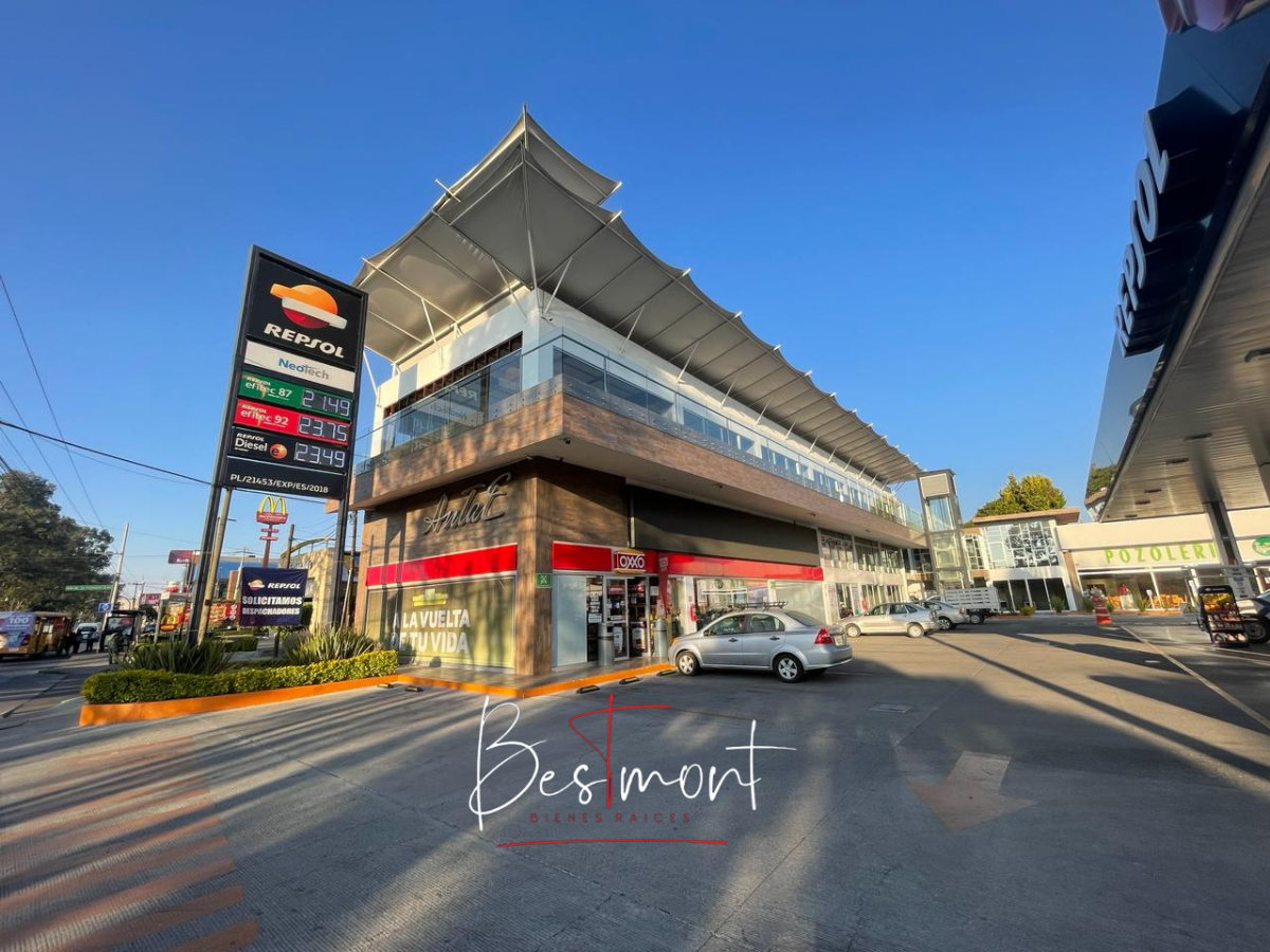 1 de 13: Plaza Antae